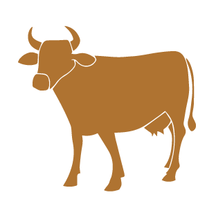 manzo