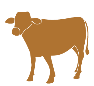 vitello